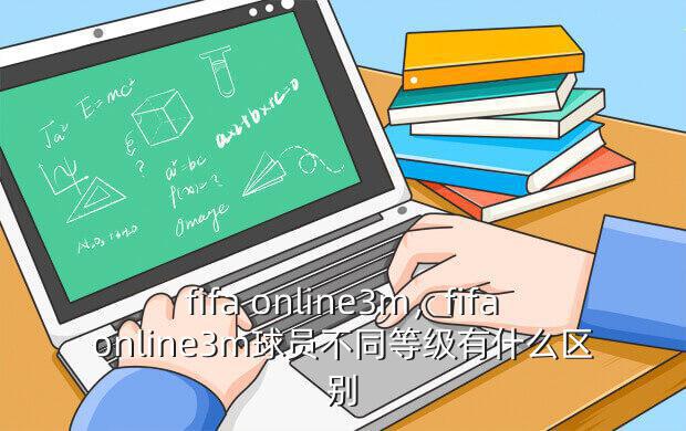 fifa online3m,fifaonline3m球员不同等级有什么区别