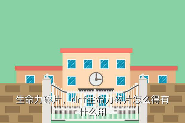 生命力碎片,dnf生命力碎片怎么得有什么用