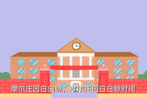 摩尔庄园白白鲸,摩尔庄园白白鲸时间