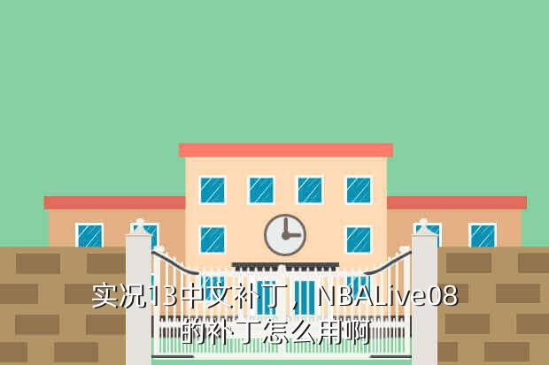 实况13中文补丁,NBALive08的补丁怎么用啊