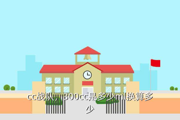 cc战队,300cc是多少ml换算多少