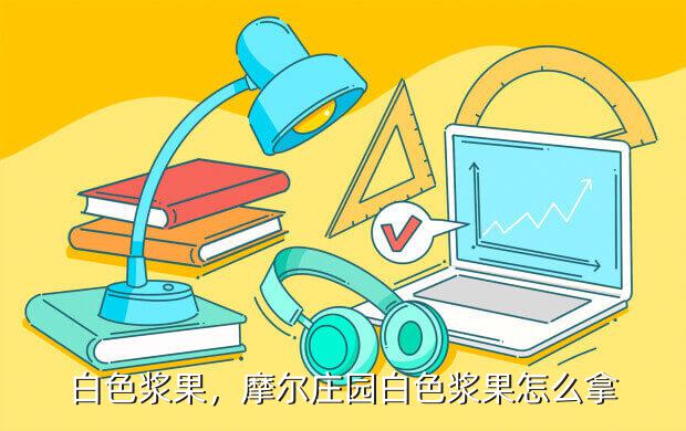白色浆果,摩尔庄园白色浆果怎么拿