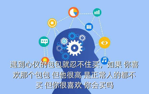 遇到心仪的包包就忍不住买,如果 你喜欢那个包包 但他很高 是正常人的都不买 但你很喜欢 你会买吗