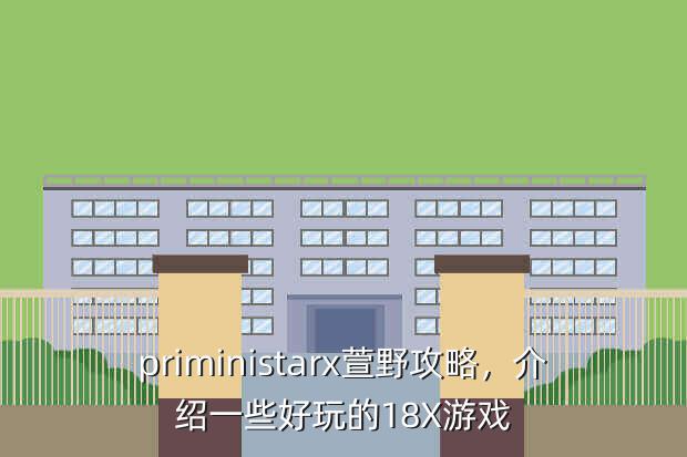 priministarx萱野攻略,介绍一些好玩的18X游戏