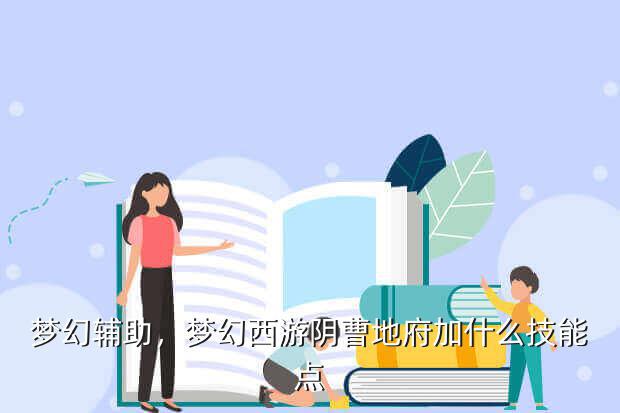 梦幻辅助,梦幻西游阴曹地府加什么技能点