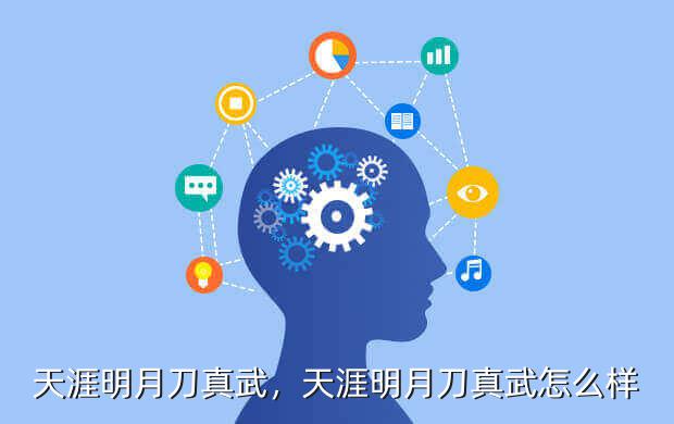 天涯明月刀真武,天涯明月刀真武怎么样