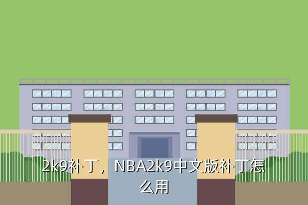 2k9补丁,NBA2k9中文版补丁怎么用