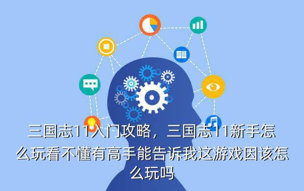 三国志11入门攻略,三国志11新手怎么玩看不懂有高手能告诉我这游戏因该怎么玩吗