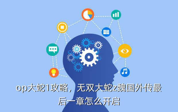 op大蛇1攻略,无双大蛇z魏国外传最后一章怎么开启