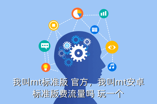 我叫mt标准版 官方,我叫mt安卓标准版费流量吗 玩一个
