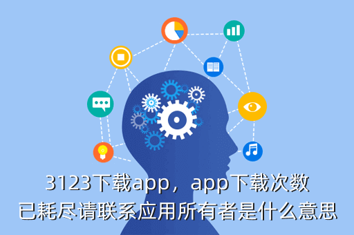3123下载app,app下载次数已耗尽请联系应用所有者是什么意思
