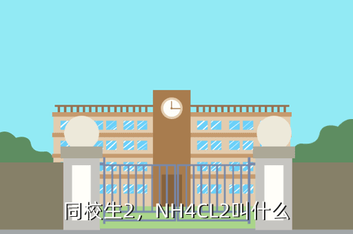 同校生2,NH4CL2叫什么