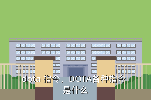 dota 指令,DOTA各种指令 是什么