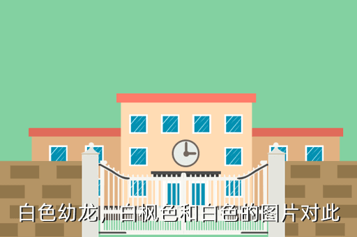 白色幼龙,白枫色和白色的图片对此