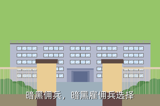 暗黑佣兵,暗黑雇佣兵选择