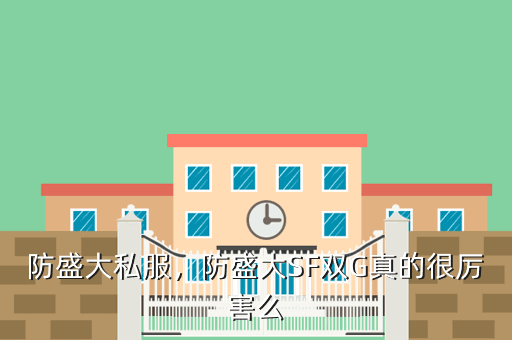 防盛大私服,防盛大SF双G真的很厉害么