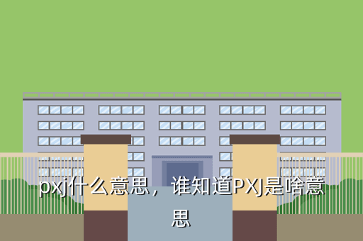 pxj什么意思,谁知道PXJ是啥意思