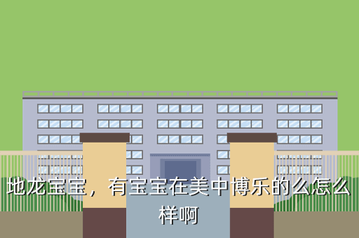 地龙宝宝,有宝宝在美中博乐的么怎么样啊