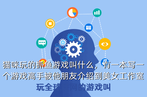 猫咪玩的抓鱼游戏叫什么,有一本写一个游戏高手被他朋友介绍到美女工作室玩全球联网的游戏叫