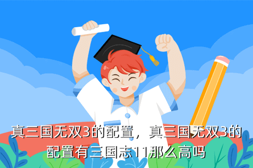 真三国无双3的配置,真三国无双3的配置有三国志11那么高吗