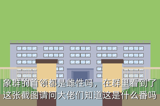 象群的首领都是雌性吗,在群里看到了这张截图请问大佬们知道这是什么番吗