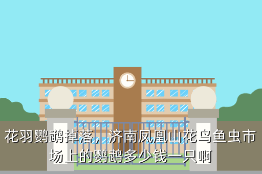 花羽鹦鹉掉落,济南凤凰山花鸟鱼虫市场上的鹦鹉多少钱一只啊