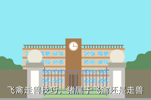 飞禽走兽技巧,猪属于飞禽还是走兽