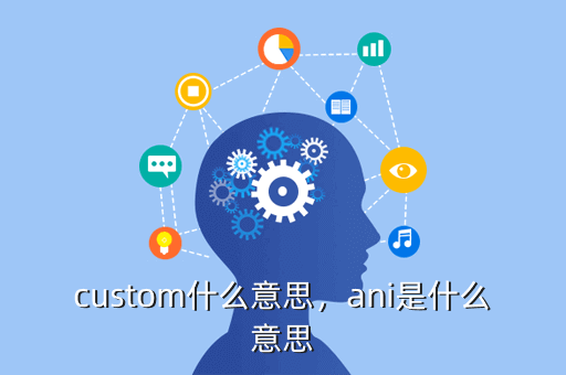 custom什么意思,ani是什么意思