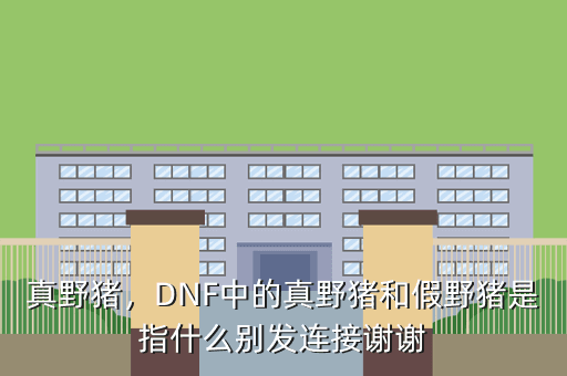 真野猪,DNF中的真野猪和假野猪是指什么别发连接谢谢