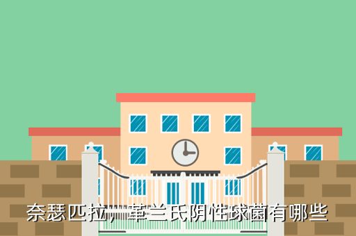 奈瑟匹拉,革兰氏阴性球菌有哪些