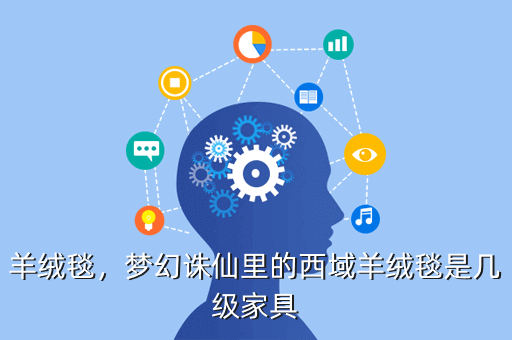 羊绒毯,梦幻诛仙里的西域羊绒毯是几级家具