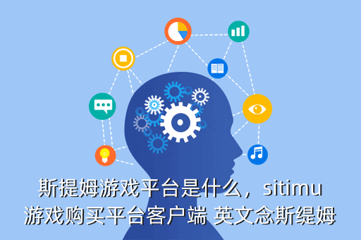 斯提姆游戏平台是什么,sitimu游戏购买平台客户端 英文念斯缇姆