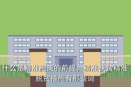 什么是精准施策的前提,精准扶贫精准脱贫措施有那些词
