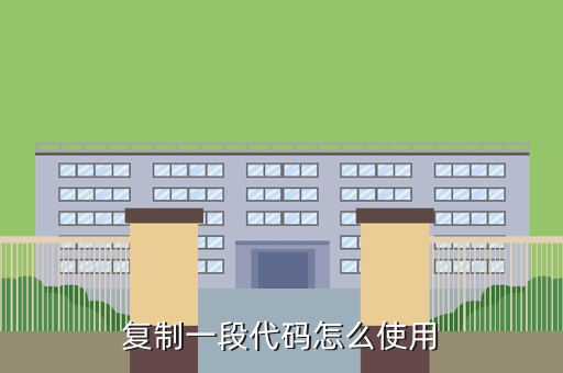 复制一段代码怎么使用