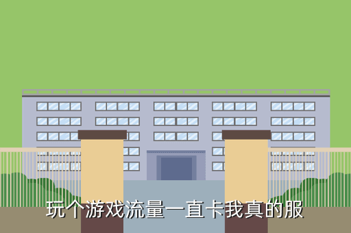 玩个游戏流量一直卡我真的服