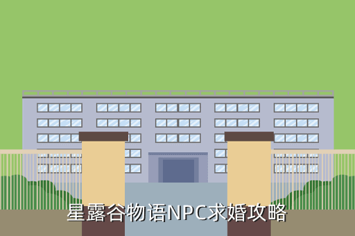 星露谷物语NPC求婚攻略
