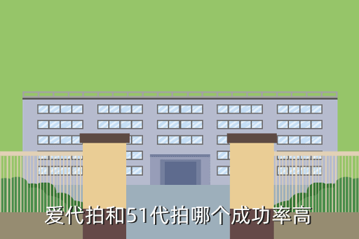 爱代拍和51代拍哪个成功率高