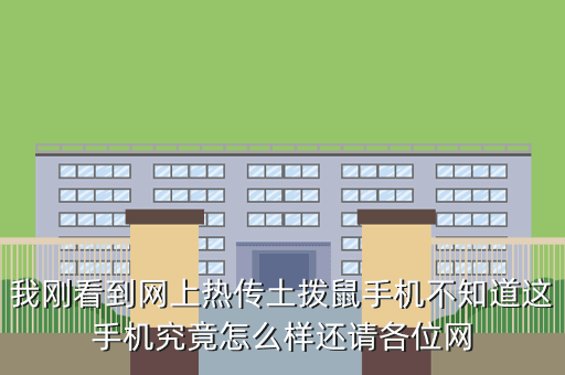 我刚看到网上热传土拨鼠手机不知道这手机究竟怎么样还请各位网