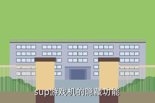 sup游戏机的隐藏功能