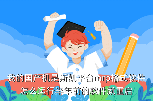 我的国产机是斯凯平台mrp格式软件怎么运行半年前的软件就重启
