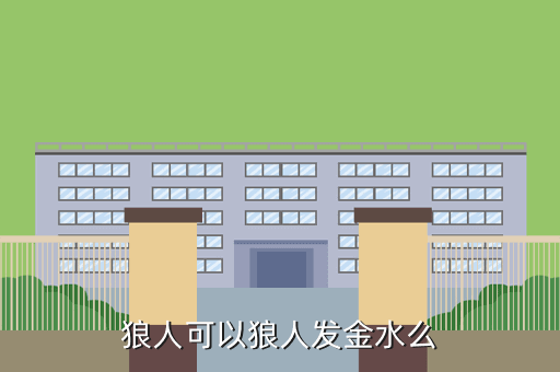 狼人可以狼人发金水么