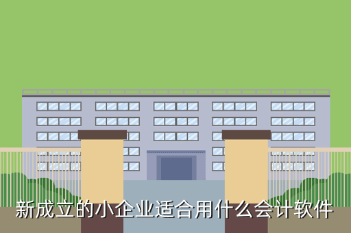 新成立的小企业适合用什么会计软件