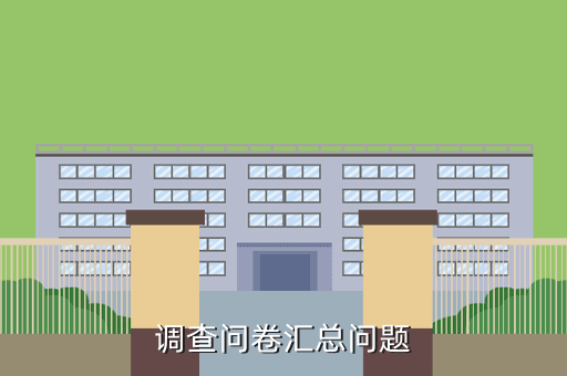调查问卷汇总问题