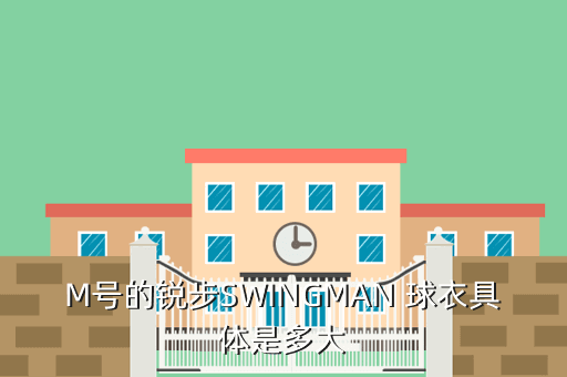 M号的锐步SWINGMAN 球衣具体是多大