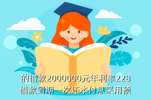 的借款2000000元年利率228借款到期一次还本付息采用预