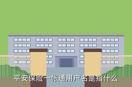 平安保险一帐通用户名是指什么