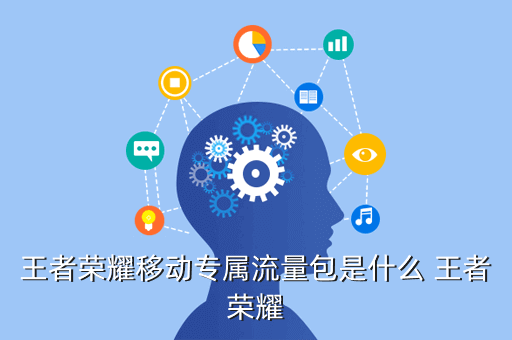 王者荣耀移动专属流量包是什么 王者荣耀