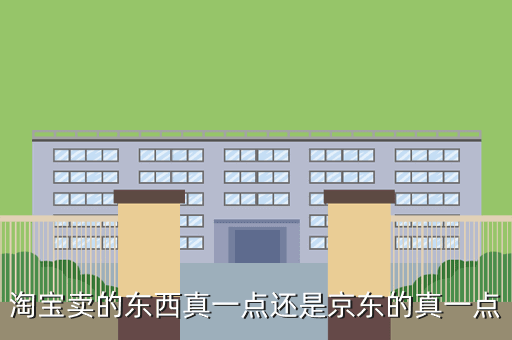 淘宝卖的东西真一点还是京东的真一点
