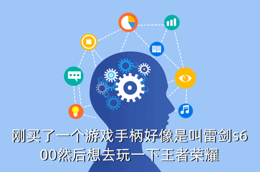 刚买了一个游戏手柄好像是叫雷剑s600然后想去玩一下王者荣耀