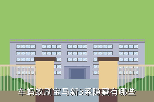 车蚂蚁刷宝马新3系隐藏有哪些